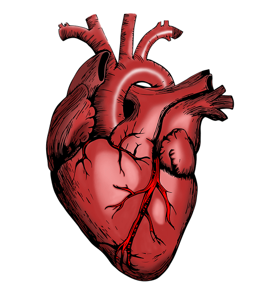 Heart के लिए योग – कौन से योगा करने से मजबूत होता है हार्ट / दिल / हृदय ?